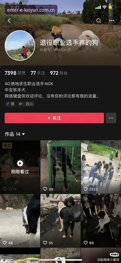 kaiyun体育平台入口详解：KAIYUN官方网站登录与最新入口指南